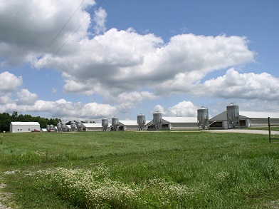 nfp pictures 020 (2)